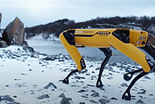 "Прайм": "Северсталь" испытала роботов-собак в транспортировке металла