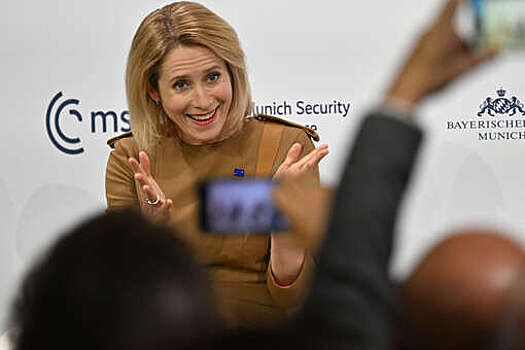 Профессор Дизен счел Каллас олицетворением политической несостоятельности ЕС