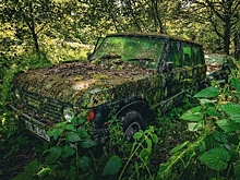 Посреди леса обнаружили классический 35-летний Range Rover