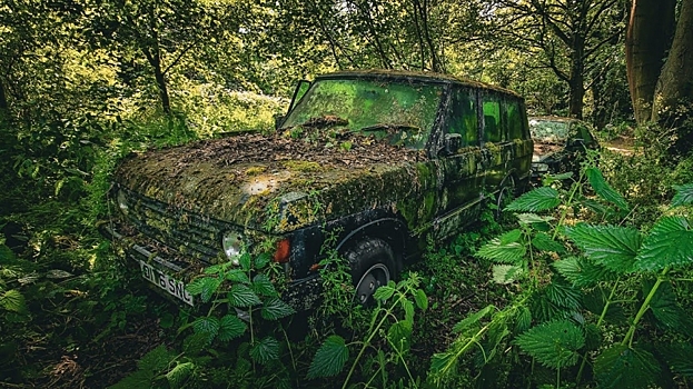 Посреди леса обнаружили классический 35-летний Range Rover