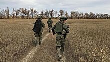 Украинские войска оборудуют новые позиции в Донбассе
