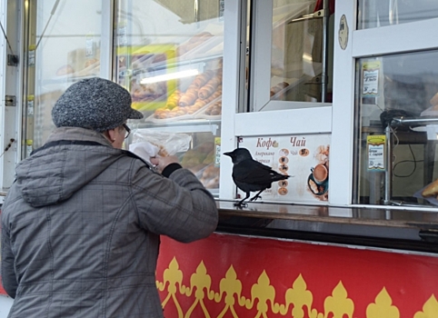 Ларькам тут не место: как в Петербурге борются с нелегальной уличной торговлей при помощи ИИ