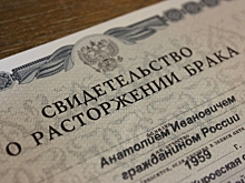 Демограф назвал главную причину разводов и абортов