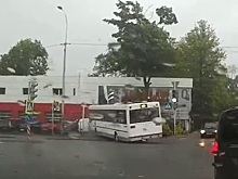 Пассажирский автобус снес забор и врезался в припаркованные авто в Калининграде. Видео