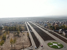 «Отвратительная идея» — куряне протестуют против вырубки леса ради трассы