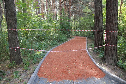 Благоустройство Заельцовского парка в Новосибирске выполнено на 70%