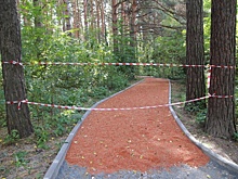 Благоустройство Заельцовского парка в Новосибирске выполнено на 70%