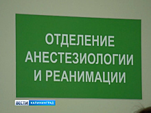 Чем обернулось нападение тигра для сотрудницы зоопарка? Женщина всё ещё в реанимации