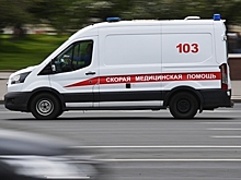 Кремль прокомментировал информацию о первом случае оспы обезьян в России