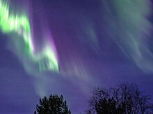 Ученый объяснил, почему жители средней полосы РФ увидели северное сияние