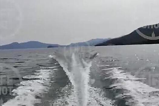 Появились первые кадры с места падения вертолета на Камчатке