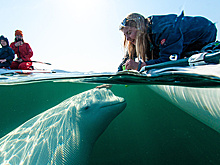 Корреспондент ТАСС занял первое место на фотоконкурсе информагентств стран АТР