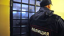 В Москве иностранец приговорён к девяти годам заключения за финансирование ИГ*