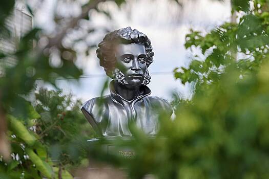 В Чертанове у Пушкина украли руку