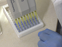 Фельдшер из Ишима победила на всероссийском конкурсе лучших практик