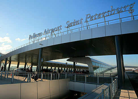 Московский бизнесмен избил сотрудника аэропорта после опоздания на рейс