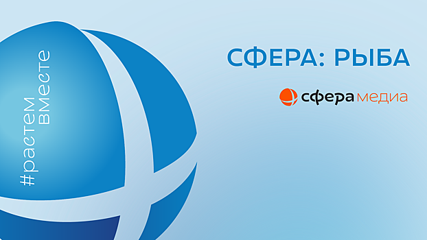 Запускаем телеграм-канал «Сфера: рыба»