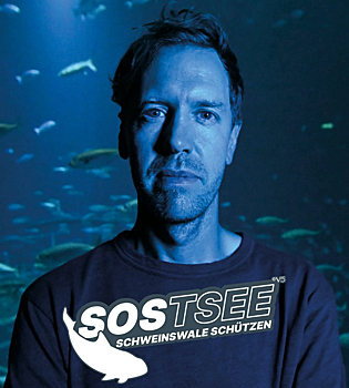 Феттеля встревожила проблема балтийских дельфинов