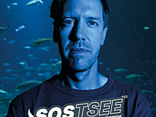 Феттеля встревожила проблема балтийских дельфинов