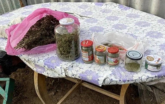 Жителя Волгоградской области задержали за хранение марихуаны