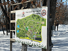 Власти Благовещенска планируют обустроить новое место отдыха в Садовом