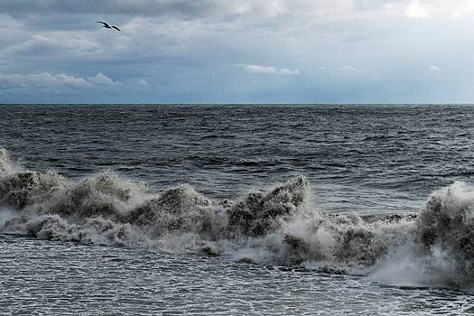 В Сочи суда перестали выходить в море из-за шторма