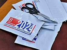 В ЦИК подвели предварительные итоги выборов