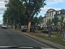 Под Стрельной машину от удара разорвало пополам, водитель погиб