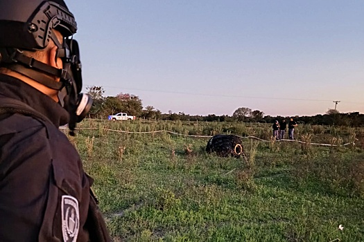 Неопознанный волосатый объект, упавший на ферму в Аргентине, сняли на фото