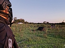 Неопознанный волосатый объект, упавший на ферму в Аргентине, сняли на фото