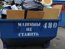 В Соколиной горе приняли решение о дополнительном благоустройстве контейнерных площадок