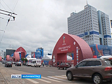 На 4 с минусом: Ермак оценил работу калининградских кафе во время матча Хорватия-Нигерия