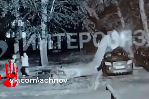 В Челябинске на видео попало, как дерево раскололось после удара об авто