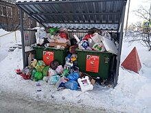          Ситуацию с вывозом мусора планируют урегулировать до конца февраля       