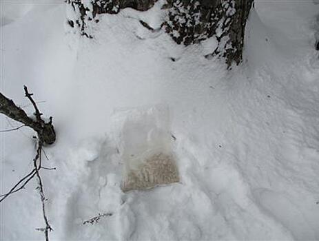 В Самарской области полицейским пришлось гоняться за подозреваемым в сбыте наркотиков