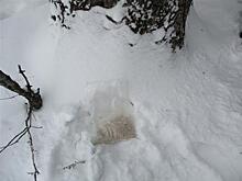 В Самарской области полицейским пришлось гоняться за подозреваемым в сбыте наркотиков