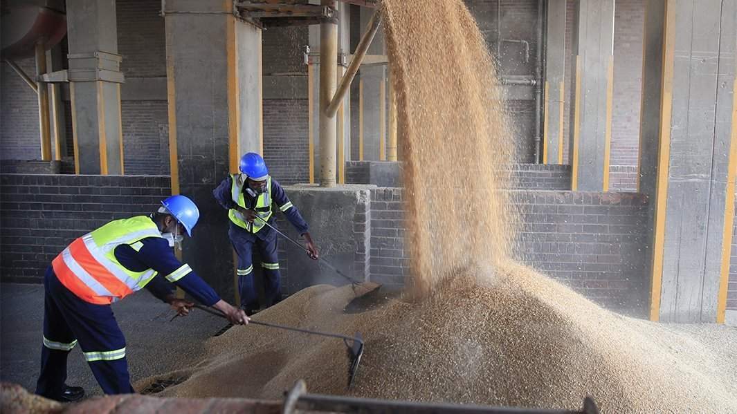 США попросили РФ разъяснить условия для возобновления зерновой сделки