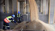 ООН считает «жизненно важным» продлить зерновую сделку