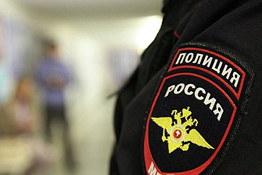 Задержан москвич, похитивший в новогоднюю ночь пиротехнику на 89 тыс. рублей