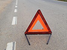 Водитель автобуса насмерть сбил мальчика на самокате на Литовском бульваре