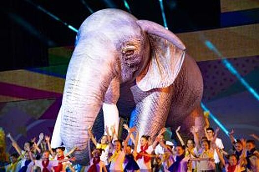 «Люби, смейся, живи». Чем запомнилась Международная Студвесна в Ставрополе?