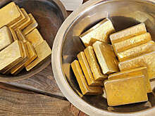 В Приамурье 27 мигрантов задержали с почти 17 кг золота