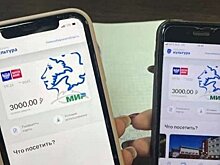 "Пушкинская карта" — очей очарованье или унылая пора?