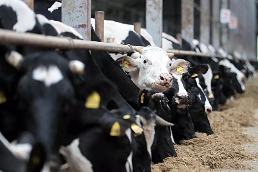 Россельхознадзор выявил случаи сальмонеллеза и других болезней фауны в Иркутской области