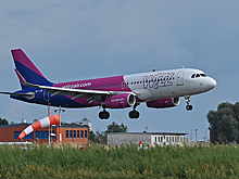 Насекомые отложили яйца в приборную панель самолета и сорвали рейс