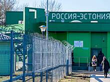 Жена Гозмана признала вину по делу о контрабанде