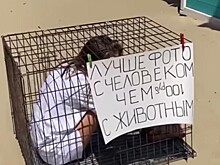 «В клетку надо сажать фотографов»: необычная акция в Анапе