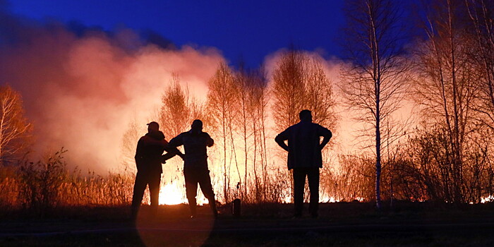 Природные пожары в России: за сутки площадь возгораний сократилась на 11 тысяч гектаров