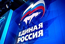 «Единая Россия» получила большинство мандатов в муниципальных представительных органах
