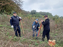 В Северной Осетии сотрудники полиции Кировского района присоединились к акции «Сохрани лес»